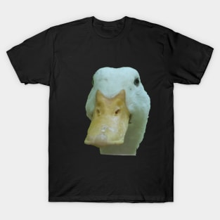 Quirky Peeking Duck - Is It Safe Cut Out T-Shirt